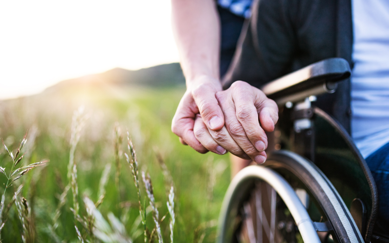 Carer supporting wheelchair user